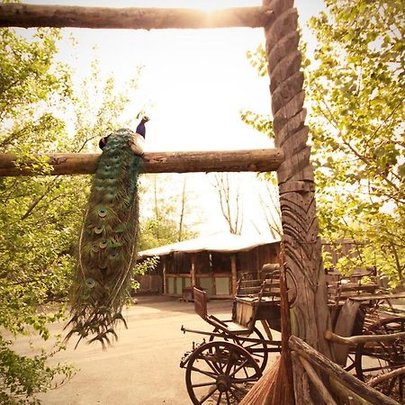 Bamboo Lodge Хронинген Екстериор снимка