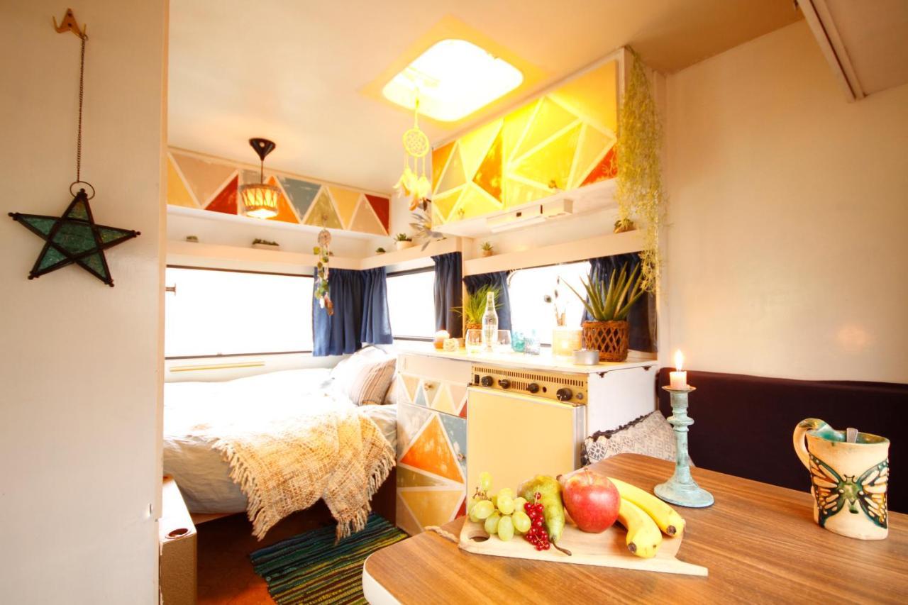 Bamboo Lodge Хронинген Екстериор снимка