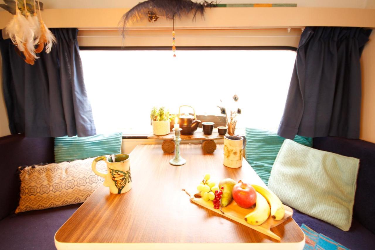 Bamboo Lodge Хронинген Екстериор снимка